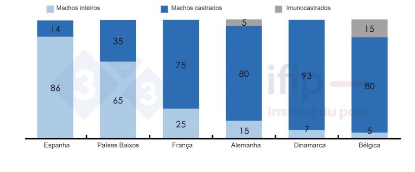 Percentagens de abate de suínos separados em machos inteiros, castrados ou imunocastrados.
